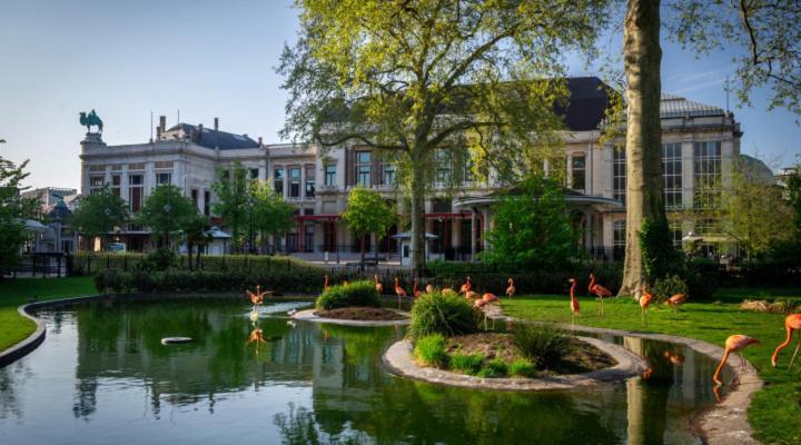 Studio In City Center With Terrace, Netflix - Wifi Antwerpen Buitenkant foto